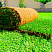Рулонная трава - фото 1