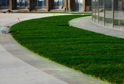 Рулонный газон для города - фото 4