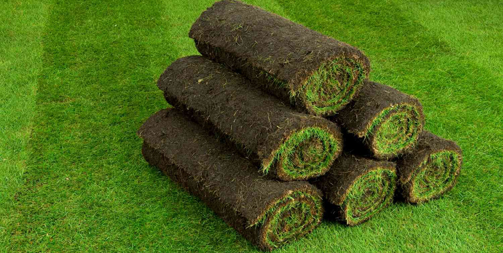 Рулонная трава - вариант озеленения участка фото 4