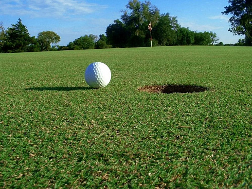 Газон для гольфа - фото 1